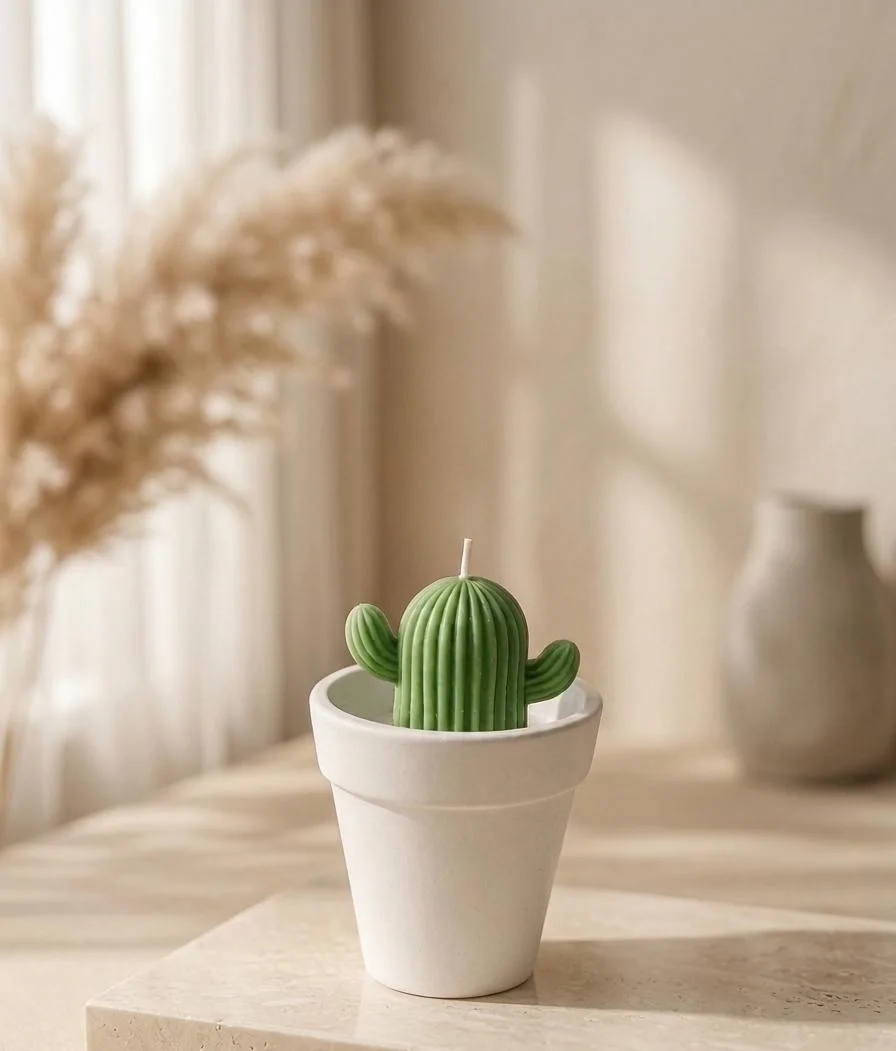 Pot de cactus