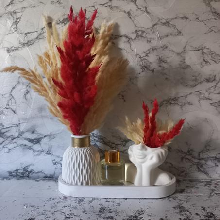 Combinaison entre un vase nordique pot penseur et diffuseur de parfum maison pampas colorées