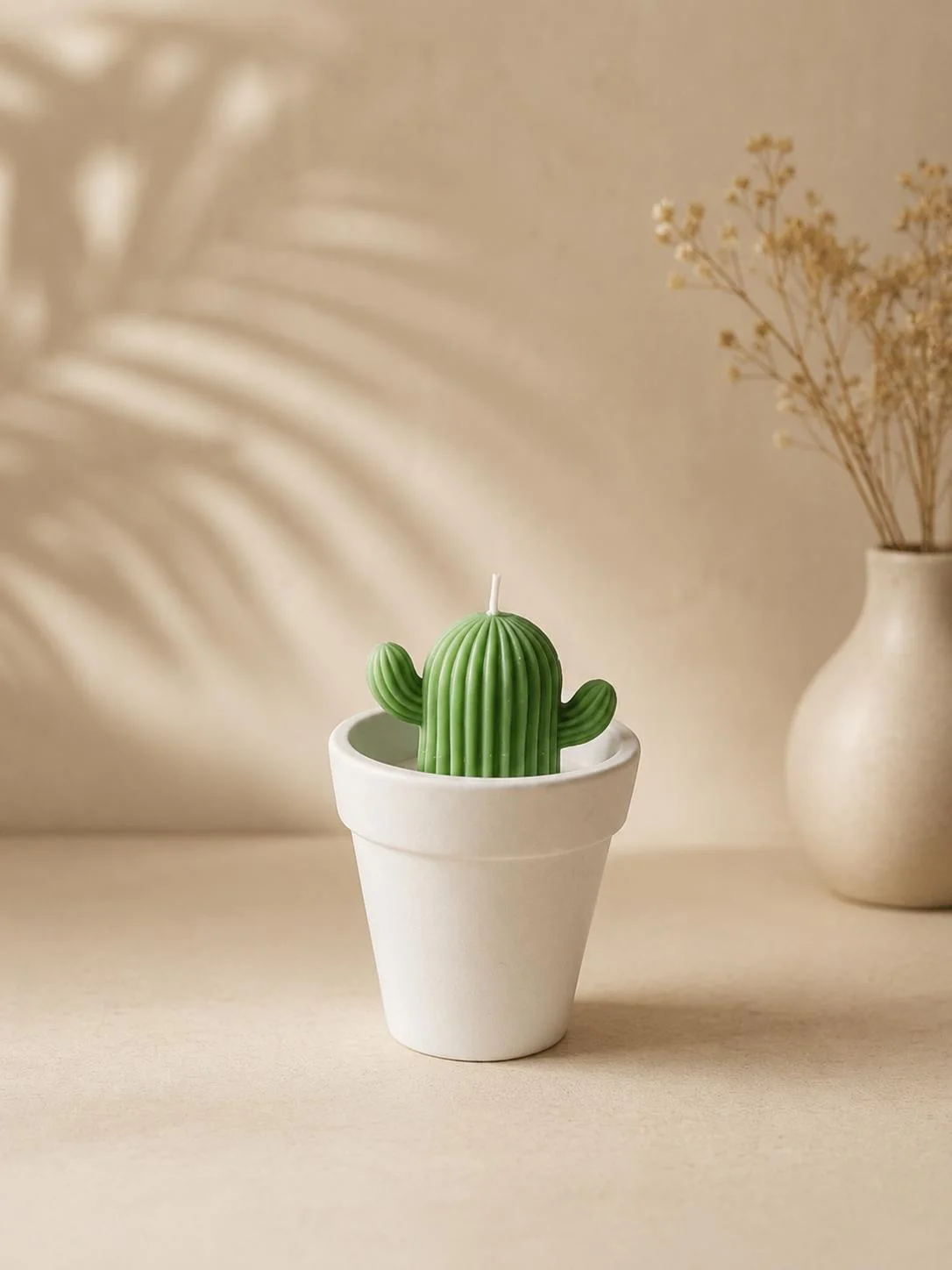 Pot de cactus