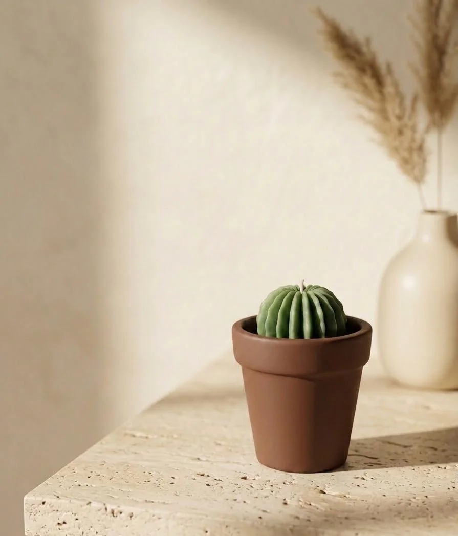 Pot de cactus