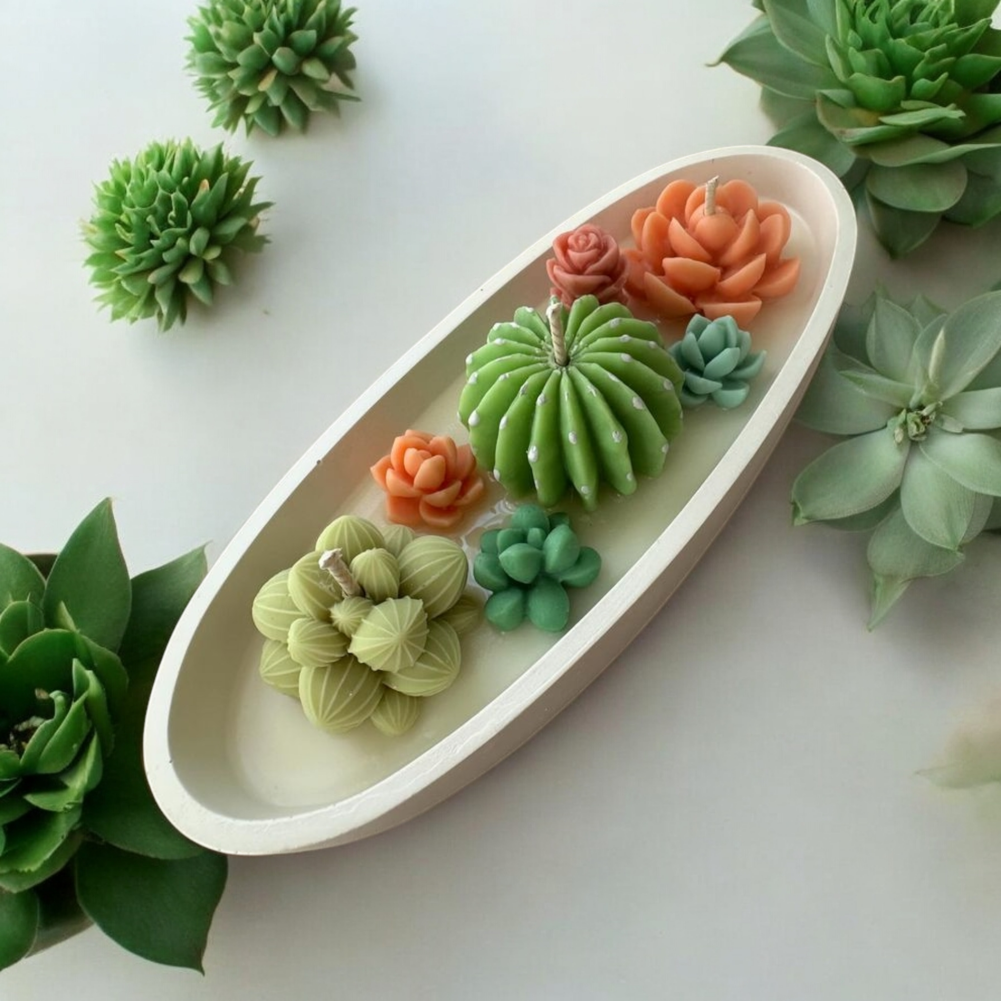 New pot cactus bougie
