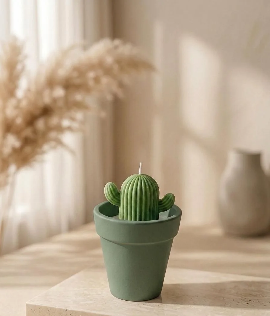 Pot de cactus