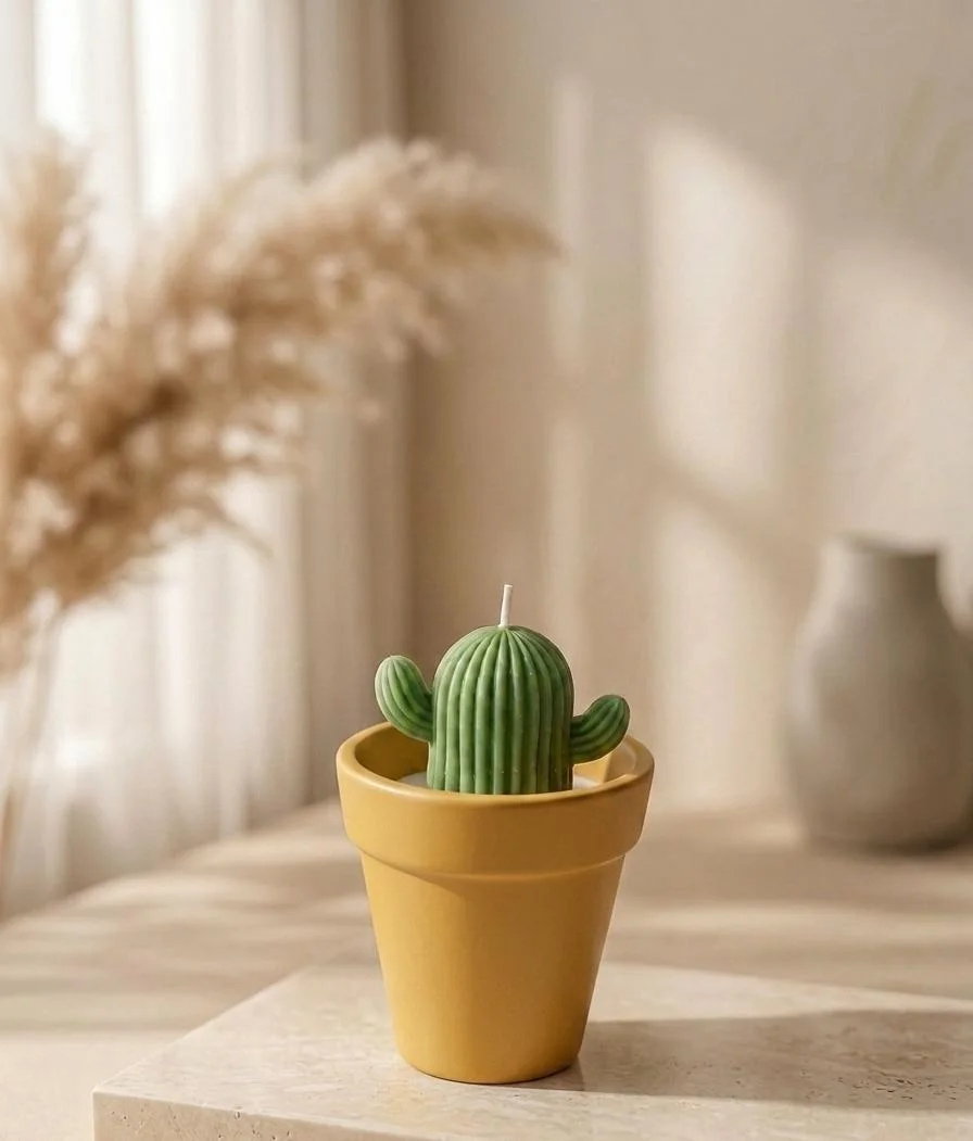 Pot de cactus
