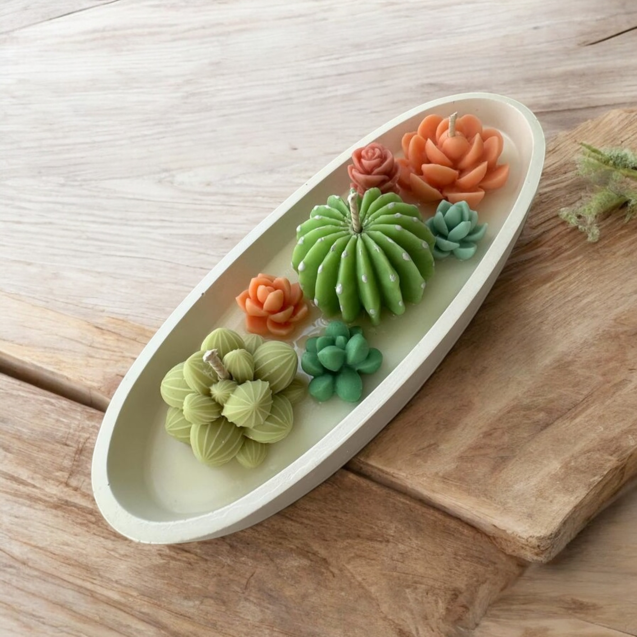 New pot cactus bougie