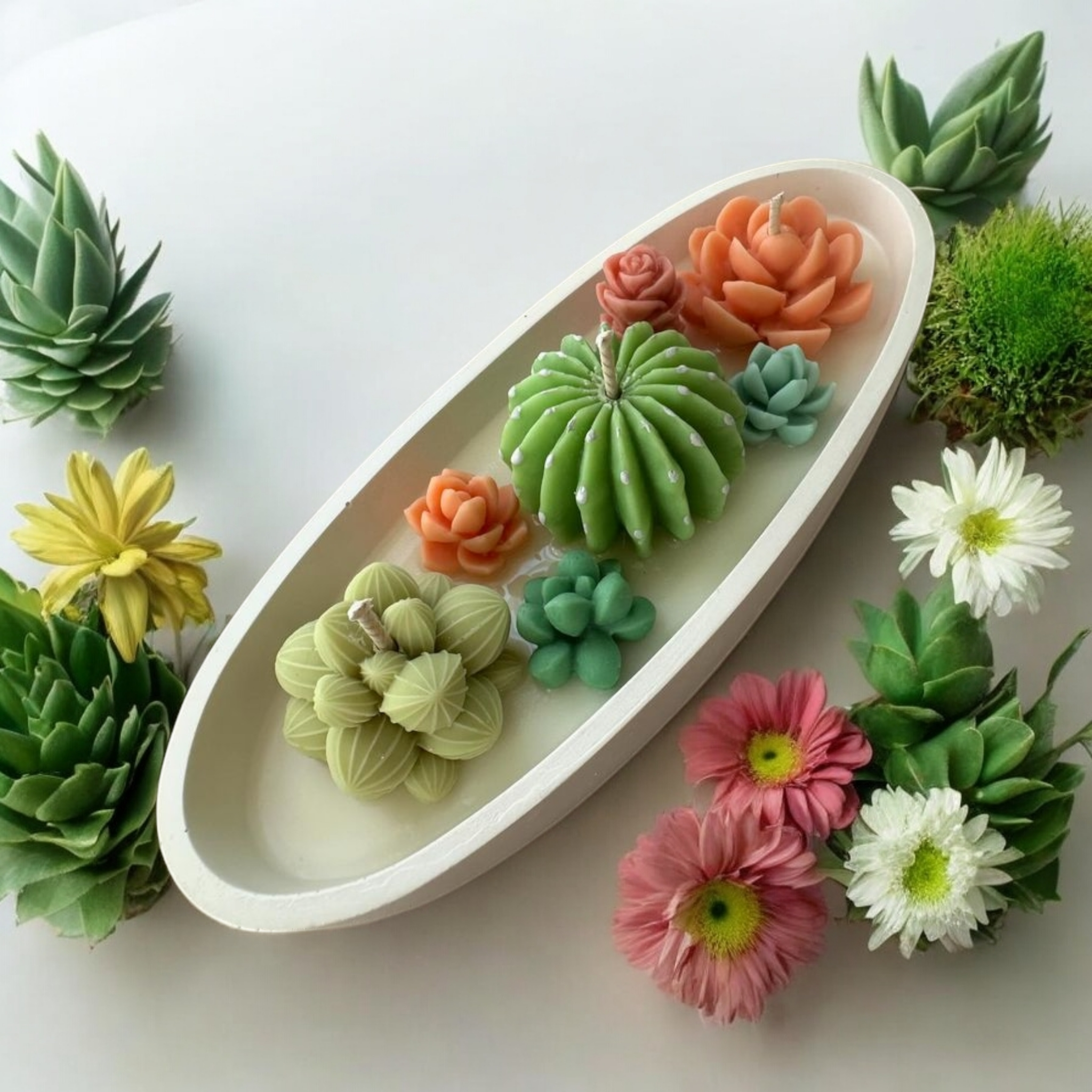 New pot cactus bougie