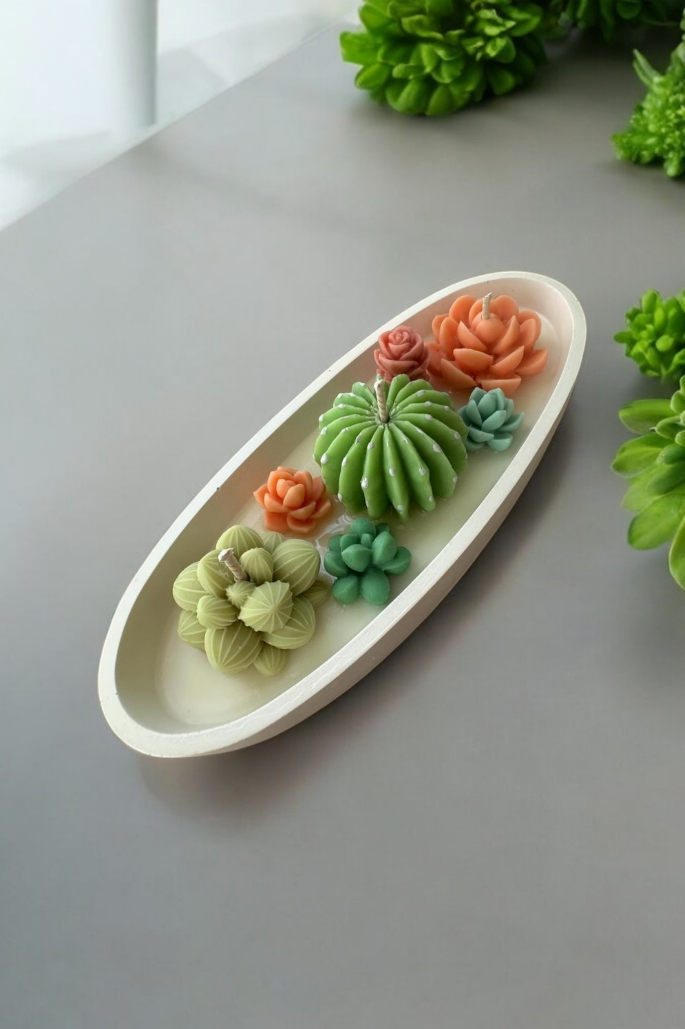 New pot cactus bougie