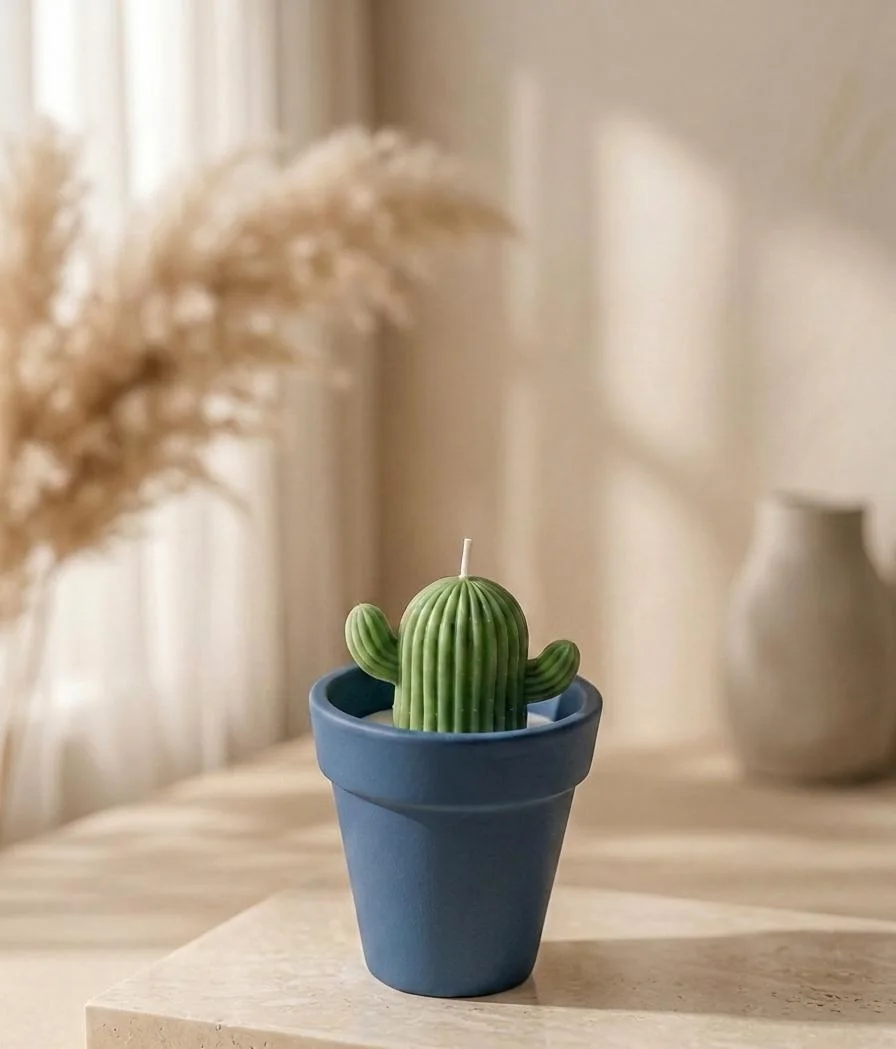 Pot de cactus