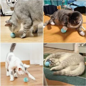 🐾 كرة اللعب التفاعلية للقطط