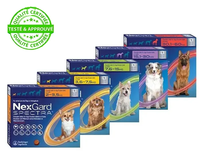 Nexgard Dog 3.5kg - 7.5kg