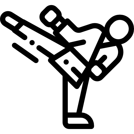 الرياضات القتالية