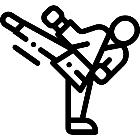 الرياضات القتالية