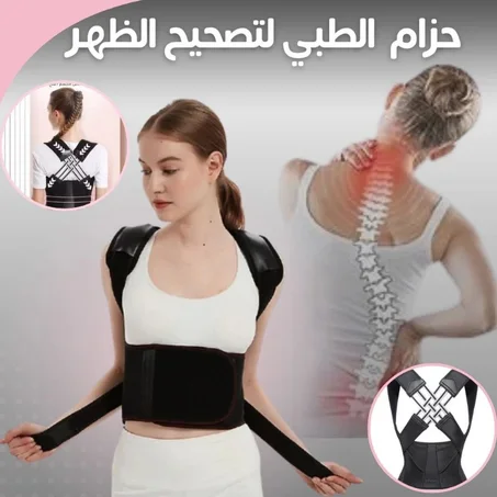 حزام الداعم للظهر