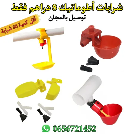 جميع أنواع الشرابات غير 8 دراهم فقط