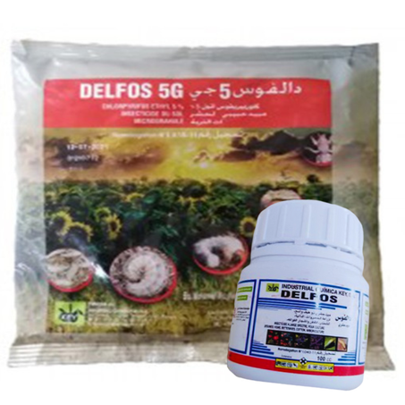 DELFOS 5G