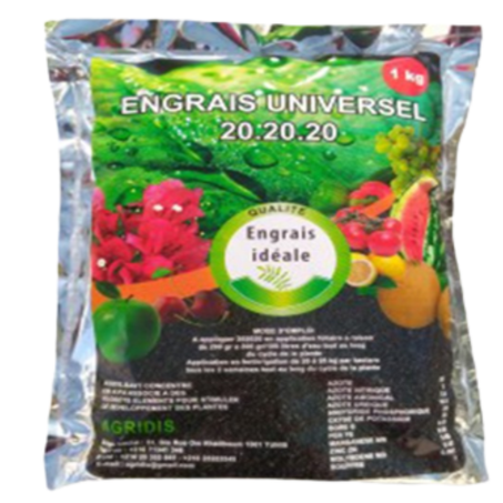 20+20+20 Universelle