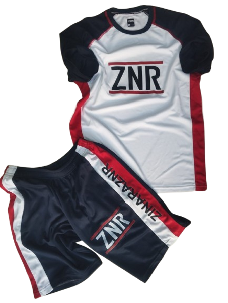 ensemb-zinara-znr-2024