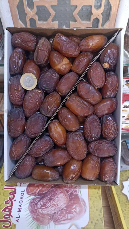 تمور تافيلالت المجهول الملكي (روايال)