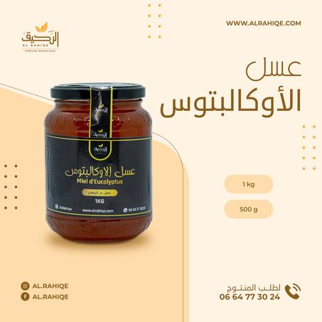 عسل الأوكالبتوس