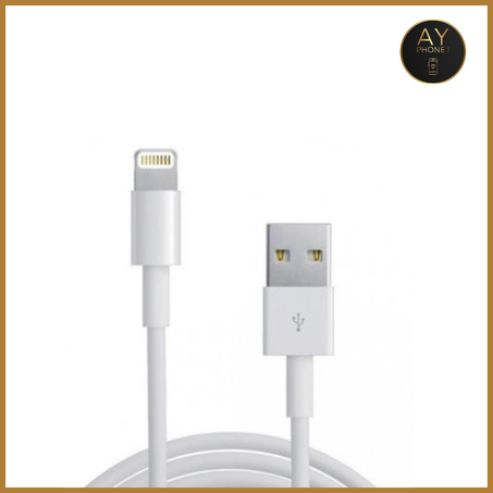 CÂBLE CHARGEUR LIGHTNING VERS USB (1 M)