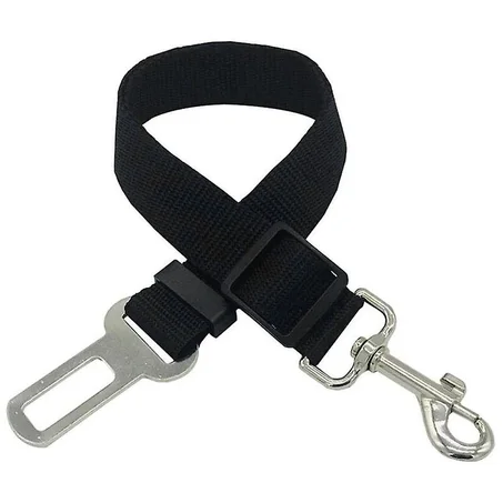 Ceinture pour chien