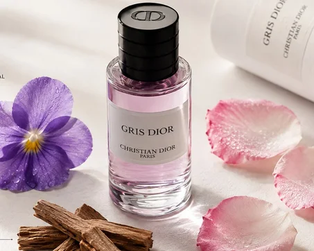 DIOR ==> GRIS DIOR 💜 💜