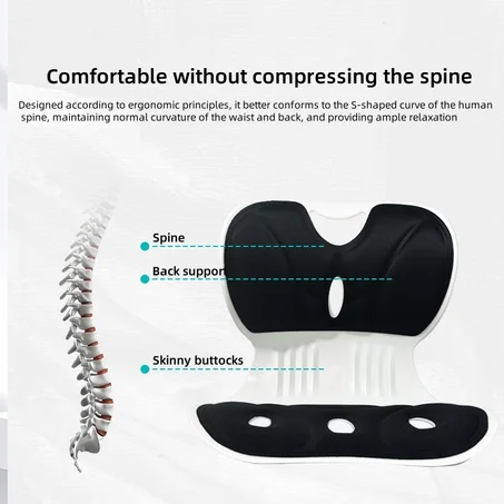 Lumbar Seat Cushion