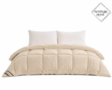 Couette 2 Places + 2 Taies d’Oreiller – Confort Chaleureux & Douceur Quotidienne - Beige
