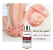 stores/c4a44b265381f8a451c2f6625f0e8fb1/products/PJP1IQCsdSyhiYEzljc9kXfbVvTNDsVCp3ITOfPV.png