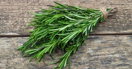 مقطر الازير