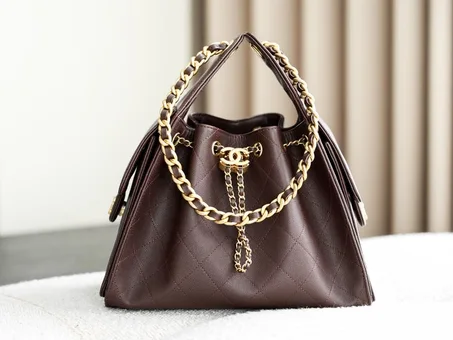 sac 25 en marron caviar