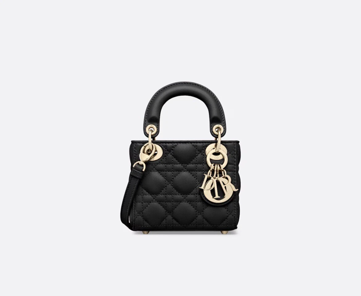 sac lady dior