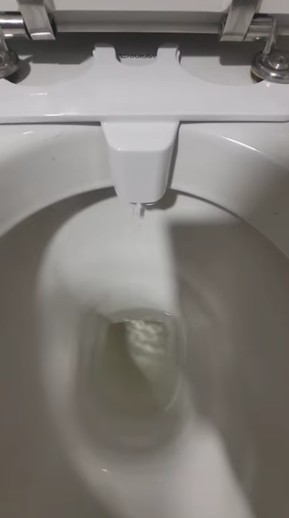 Accessoire Bidet– Pulvérisateur Douchette Toilette Ultra-Mince à Double Buse, Pression Réglable.