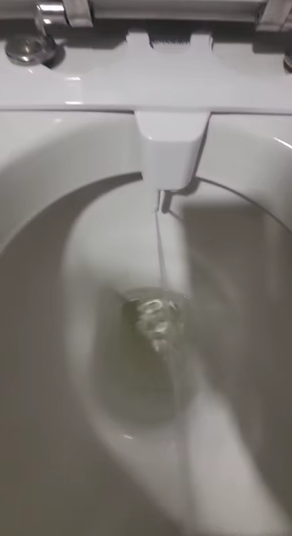 Accessoire Bidet– Pulvérisateur Douchette Toilette Ultra-Mince à Double Buse, Pression Réglable.