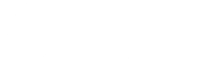 ZINIXIA