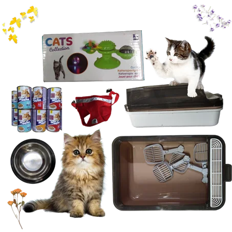 Pets Pack 1