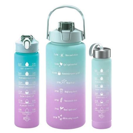 1095-Lot de 3 bouteilles gourdes - 2 l - 750 ml et 300 ml - Anti-fuite - Avec paille - Sans BPA