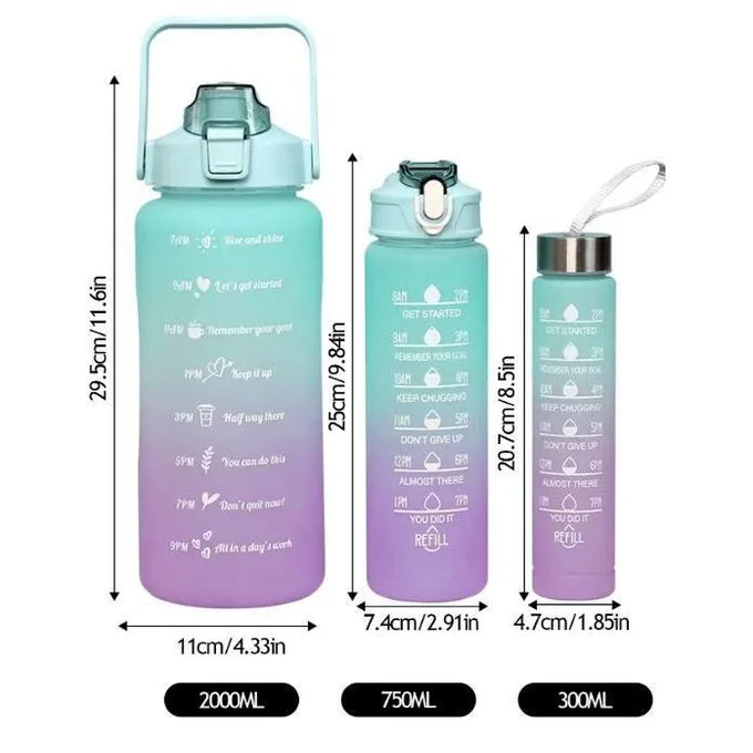 1095-Lot de 3 bouteilles gourdes - 2 l - 750 ml et 300 ml - Anti-fuite - Avec paille - Sans BPA
