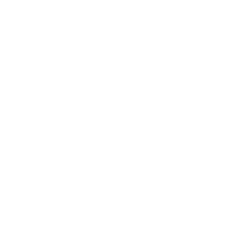 DAZIK SHOP
