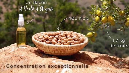 زيت الأركان النقي - 100% طبيعي للأكل