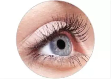Santé des Yeux-صحة العين