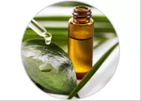 Huiles Essentielles & Aromathérapie