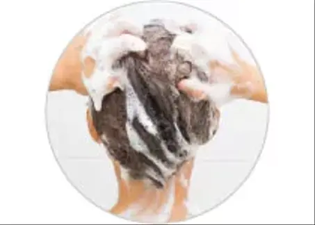 Shampooings-الشامبو