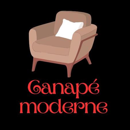 CANAPE MODERNE