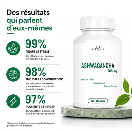Vitanox Ashwagandha 500mg