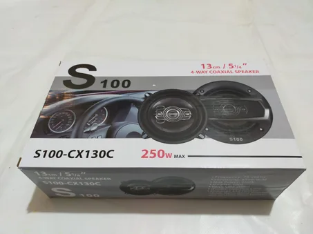 مكبر الصوت S 100