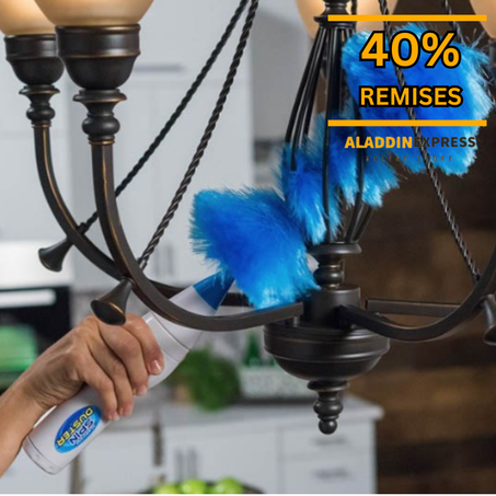 Nettoyeur de Poussière électrique ™