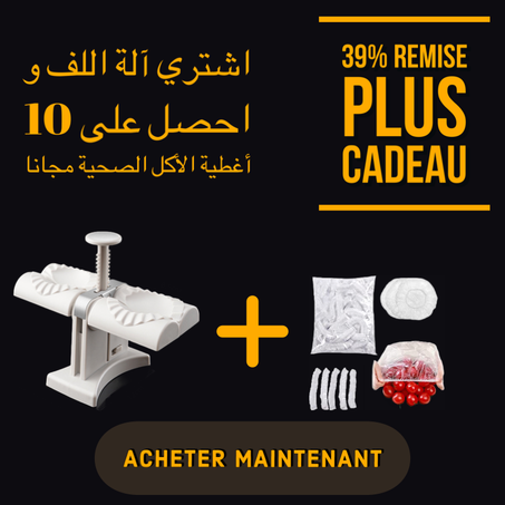 Machine à Boulette Automatique 2 en 1