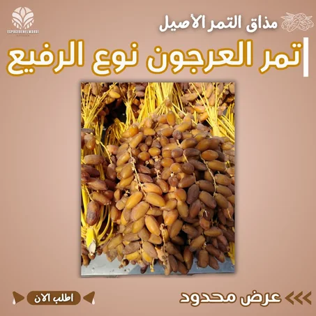تمر العرجون نوع الرفيع