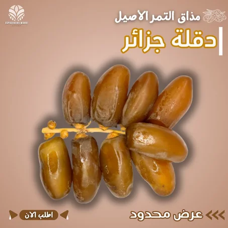 تمر العرش دقلة جزائر