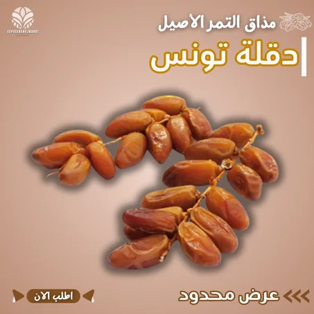 تمر العرش دقلة تونس